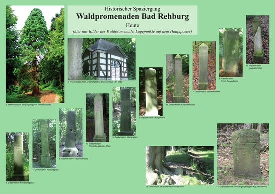 Bad Rehburg - Waldpromenade