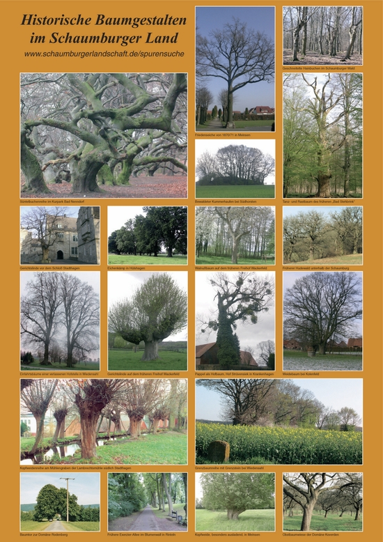 Poster historische Baumgestalten